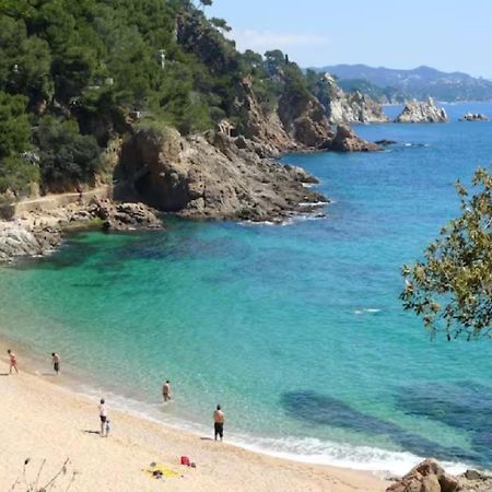 Apto. Jardin De Santa Barbara بلانيس المظهر الخارجي الصورة
